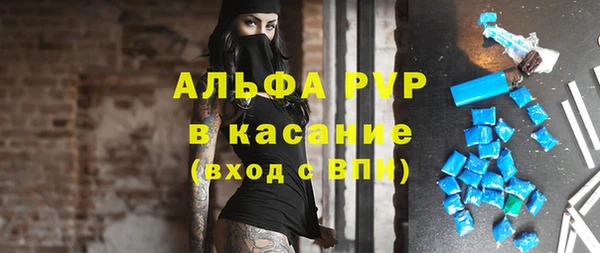 гашик Бородино