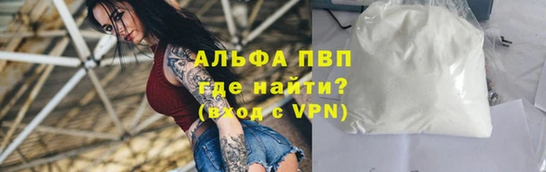 PSILOCYBIN Богданович