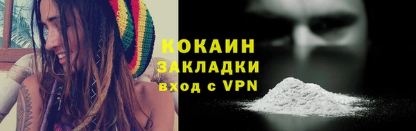 PSILOCYBIN Богданович