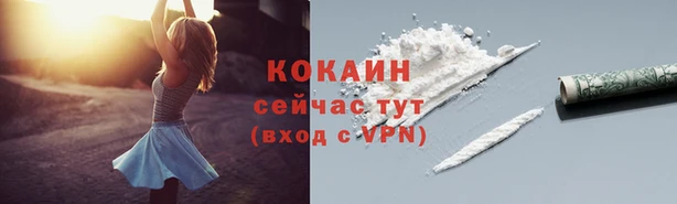 PSILOCYBIN Богданович