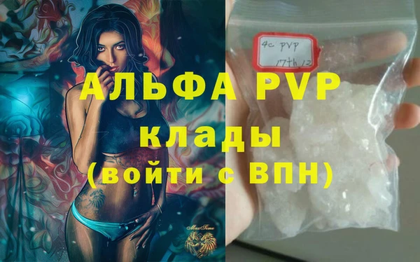 PSILOCYBIN Богданович