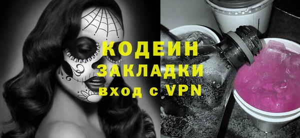 прущие грибы Бердск