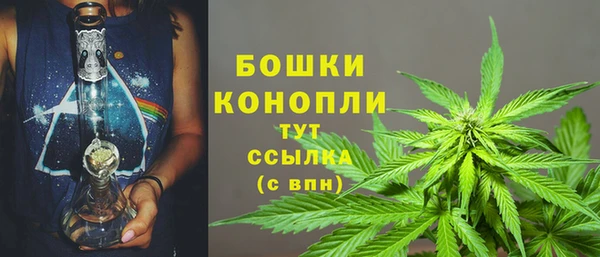 PSILOCYBIN Богданович