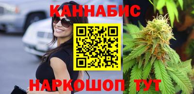 стафф Донецк