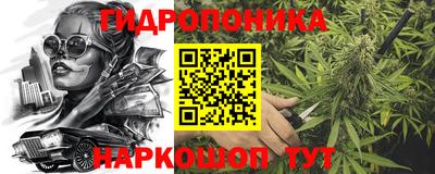 apvp Дубна