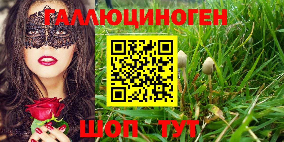 Псилоцибиновые грибы мицелий  Буйнакск 