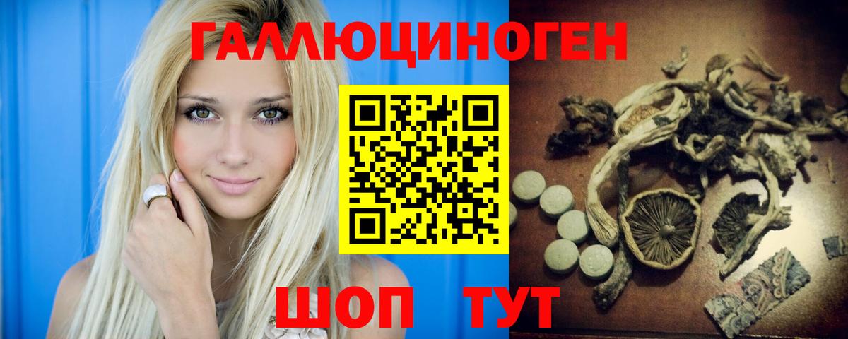 Галлюциногенные грибы GOLDEN TEACHER Буйнакск